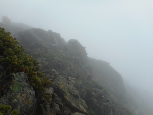 北岳登山道頂上直下.JPG