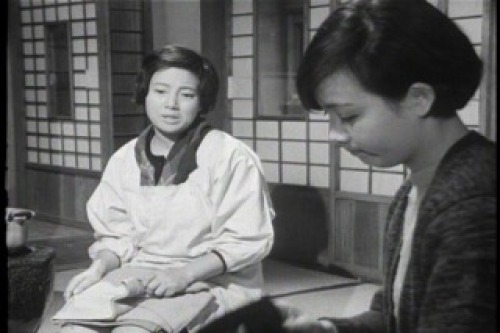 PDVD_018.jpg