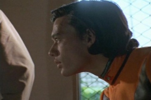 PDVD_006.jpg