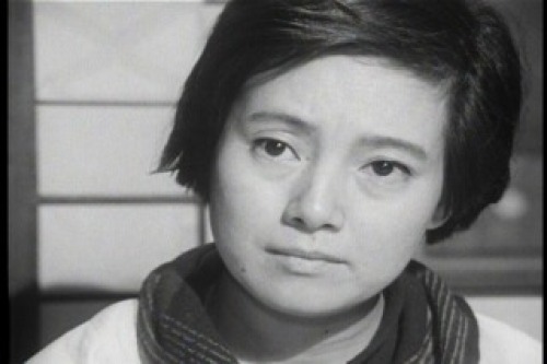 PDVD_026.jpg