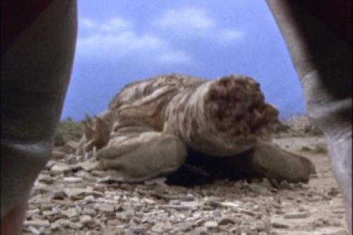 PDVD_012.jpg