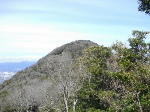沼津アルプス徳倉山 (2) (500x375).jpg