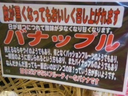 DSCN5843 (300x225).jpg