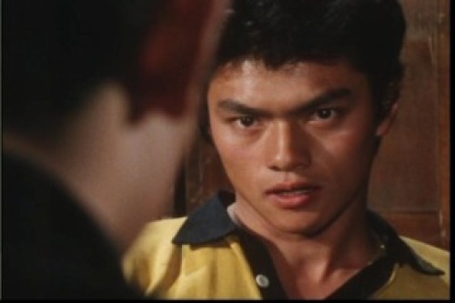 PDVD_038.jpg
