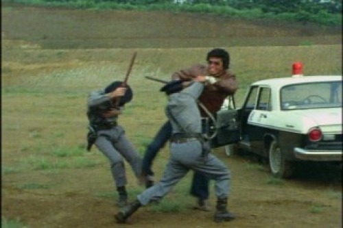 PDVD_011.jpg