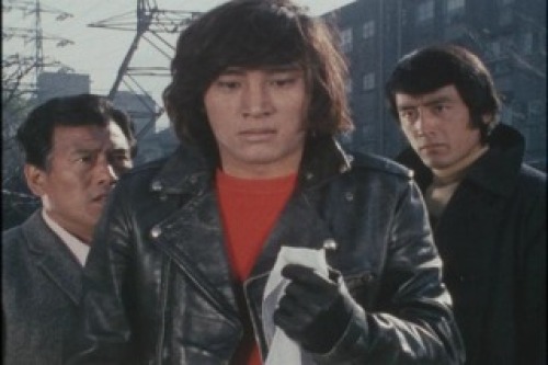 PDVD_012.jpg