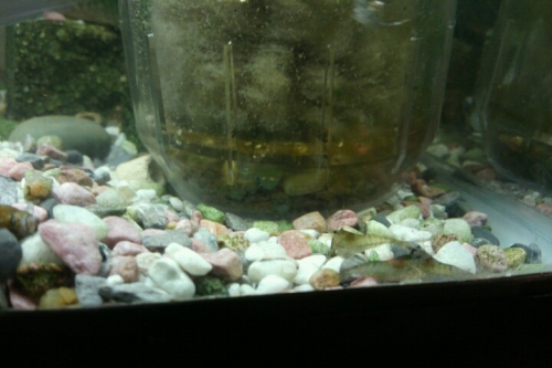 2016-05-23 18-44-02.jpg