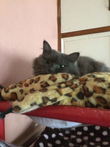 IMG_0375 - コピー.JPG