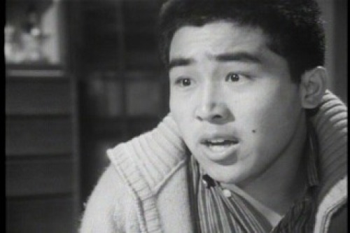 PDVD_014.jpg