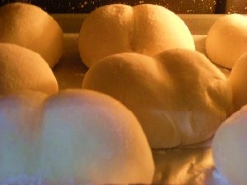 DSCN5816 (300x225).jpg