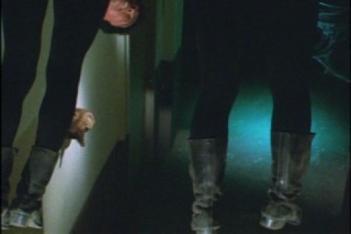 PDVD_011.jpg