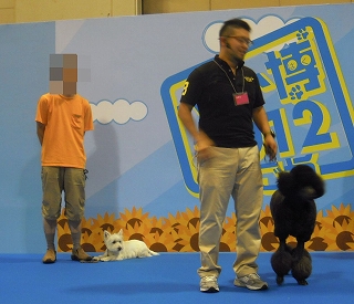しつけ教室.jpg