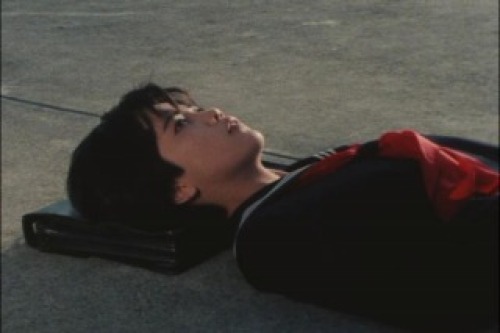 PDVD_029.jpg
