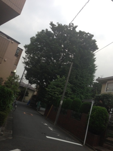 住宅街.jpeg