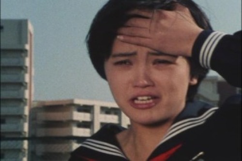 PDVD_015.jpg