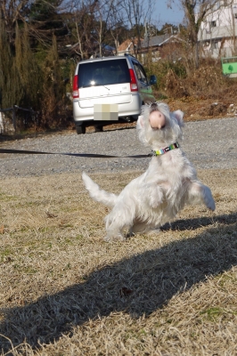 IMGP8623編集.jpg