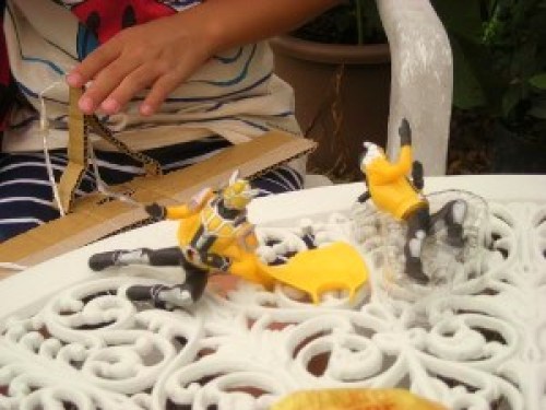 DSCN2941 (300x225).jpg