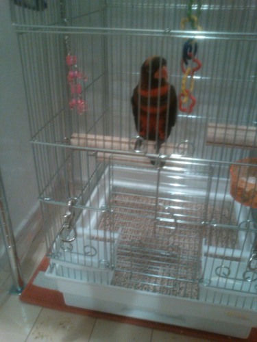 2 住み心地はいかが？。。。.JPG