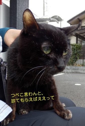 20151023_4.jpg