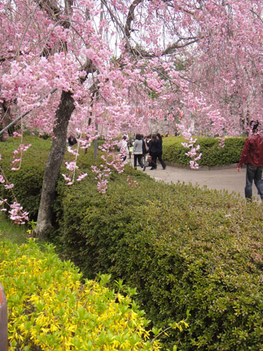 榴岡11.jpg