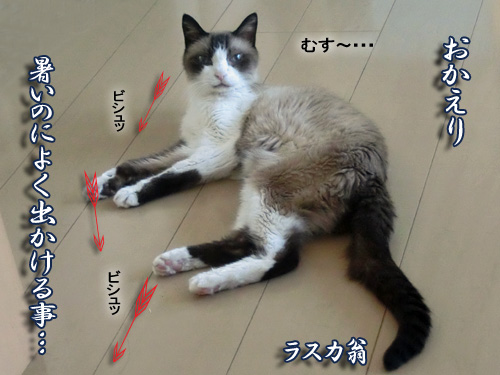 ７.jpg