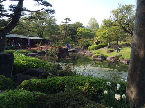 14-05-06 ぐんまフラワーパーク　日本庭園 04-26