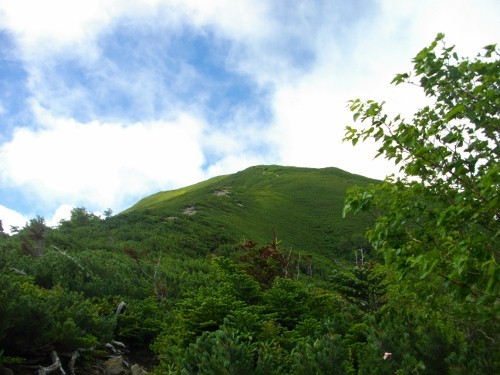 仙丈ケ岳小仙丈 (4) (500x375).jpg