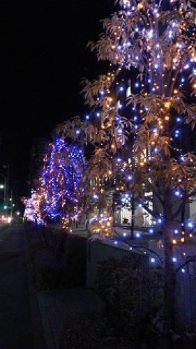 2012-12-10 18.47.02.jpg