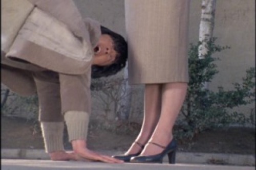 PDVD_012.jpg