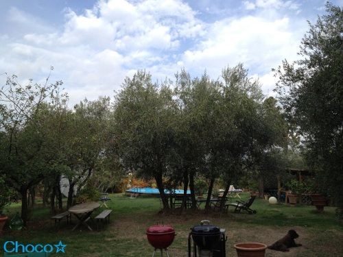 Podere9.jpg