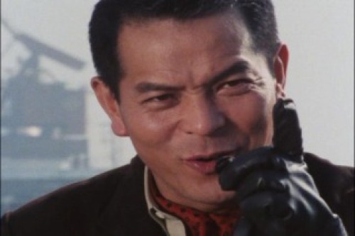 PDVD_203.jpg