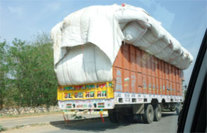 インド931.jpg
