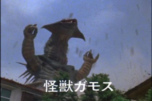 PDVD_016.jpg