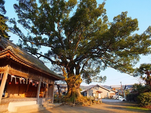 元旦須佐神社　022 (1).jpg