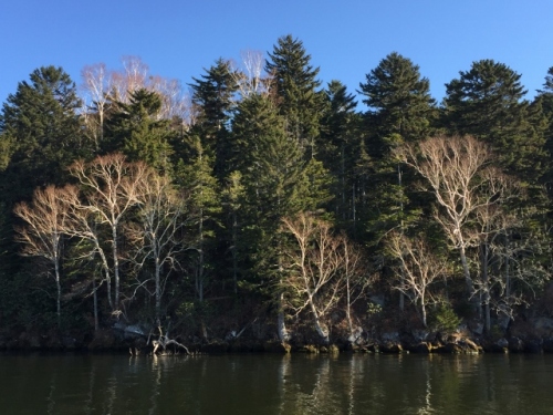 IMG_8182 (640x480).jpg