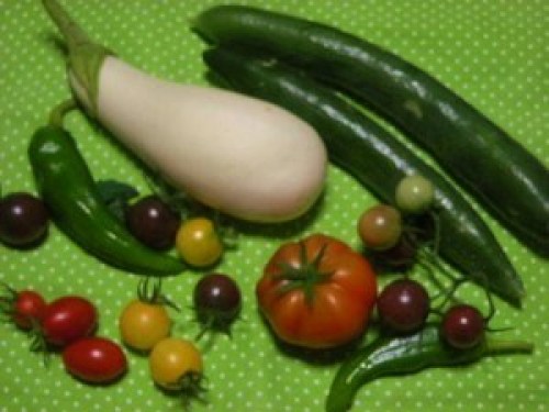 DSCN2629 (300x225).jpg