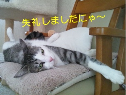 20130429_2.jpg