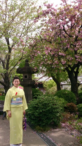 茶会＠護国寺