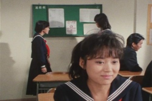 PDVD_012.jpg
