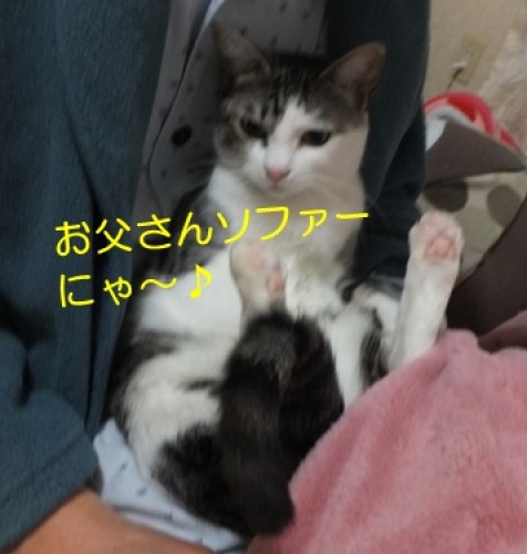 20130429_4.jpg