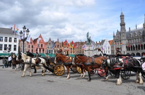 pict-マルクト広場 9.jpg