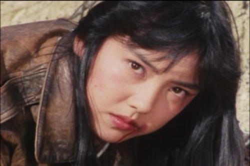 PDVD_227.jpg