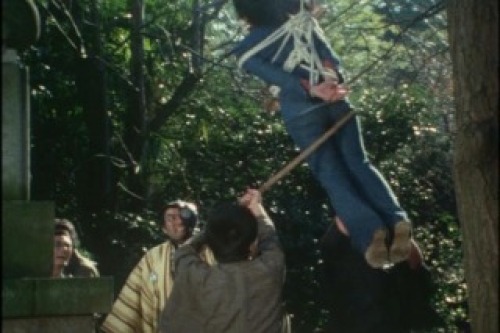 PDVD_002.jpg