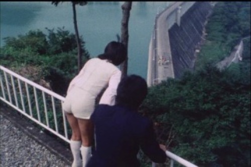 PDVD_031.jpg