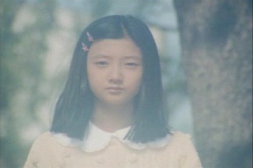 PDVD_035.jpg