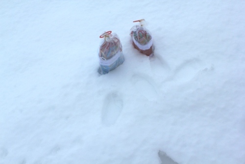 IMG_0163.jpg yuki.jpg