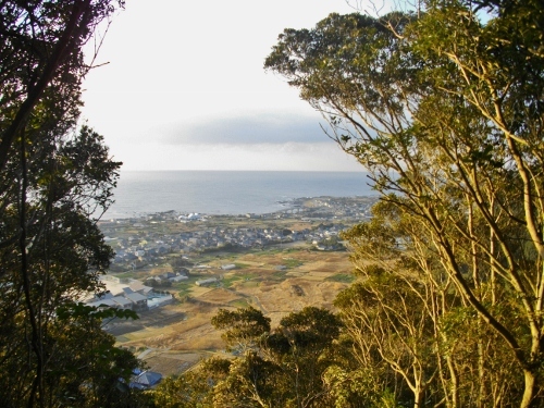 高塚山登山道 (500x375) (2).jpg