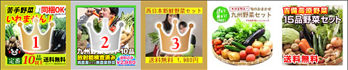野菜セット・詰め合わせランキング,売れ筋人気ランキング,20150402pants.jpg
