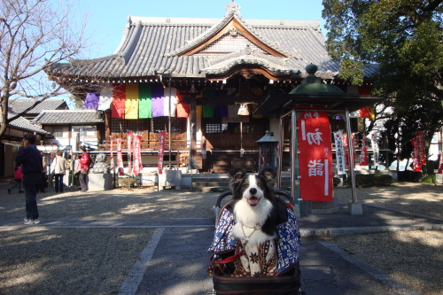 DSC04904.JPG