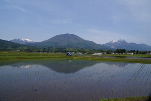 高妻、黒姫、妙高背景に田植え。 (1400x937).jpg